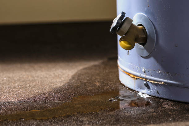 Best Water damage contractors near me  in Carson City, MI