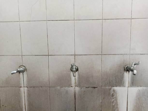 , MI Water damage restoration Company