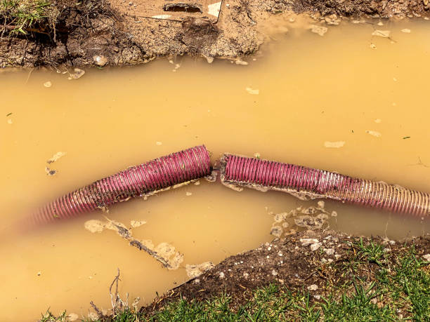 Best Water damage restoration cost  in Carson City, MI